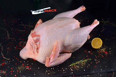 Индейка 